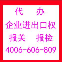專業(yè)代理各類進(jìn)出口業(yè)務(wù)，助力企業(yè)高效拓展國際市場